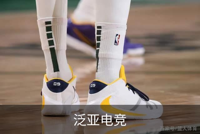 泛亚电竞公司简介
